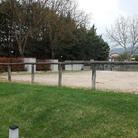Il Boscaiolo Affittacamere Preturo Extérieur photo